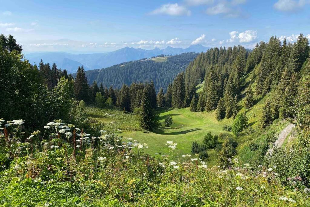 Vue Panoramique Sur Les Montagnes Plein Sud - T2 Skis Aux Pieds, Piscine & Spa Flaine Eksteriør bilde