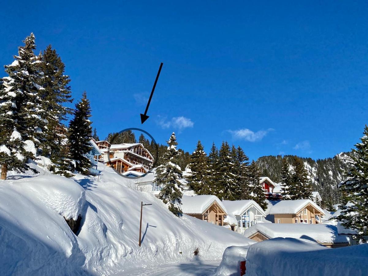 Vue Panoramique Sur Les Montagnes Plein Sud - T2 Skis Aux Pieds, Piscine & Spa Flaine Eksteriør bilde